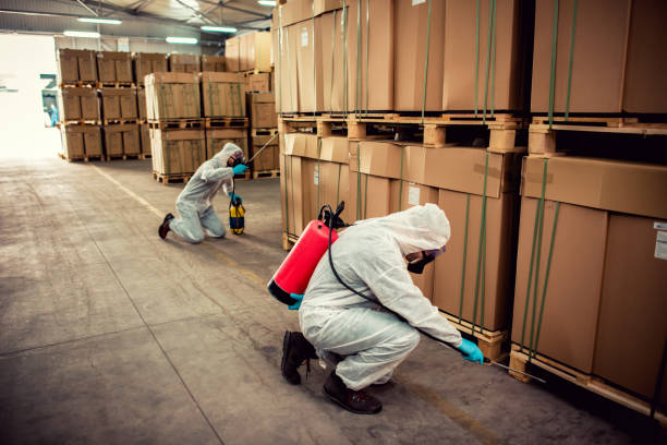 Best Residential Pest Control  in Missoula, MT
