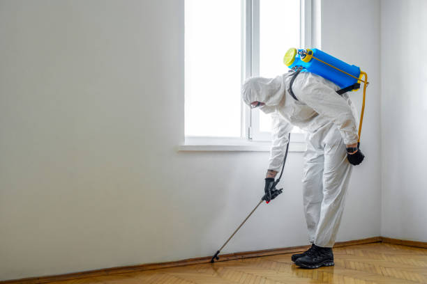 Best Best Pest Control Near Me  in Missoula, MT